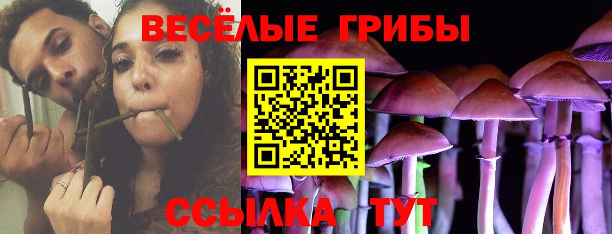 Псилоцибиновые грибы ЛСД  Вход с VPN  Узловая 